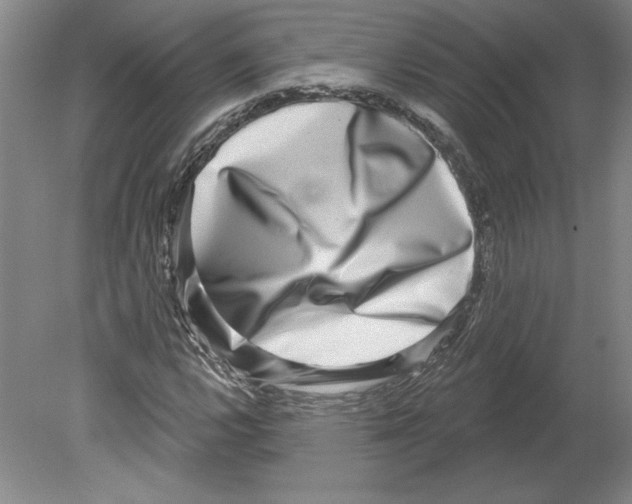 X0000079581112200612301359