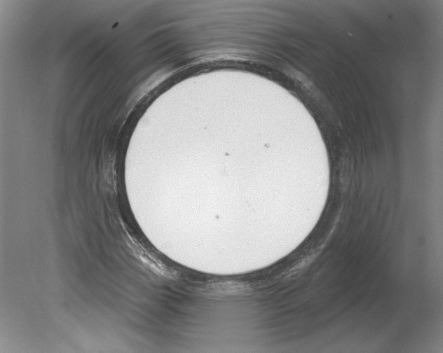 X0000079581113200612301359