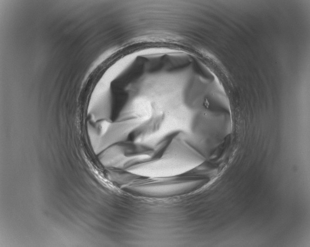 X0000079581114200612301359