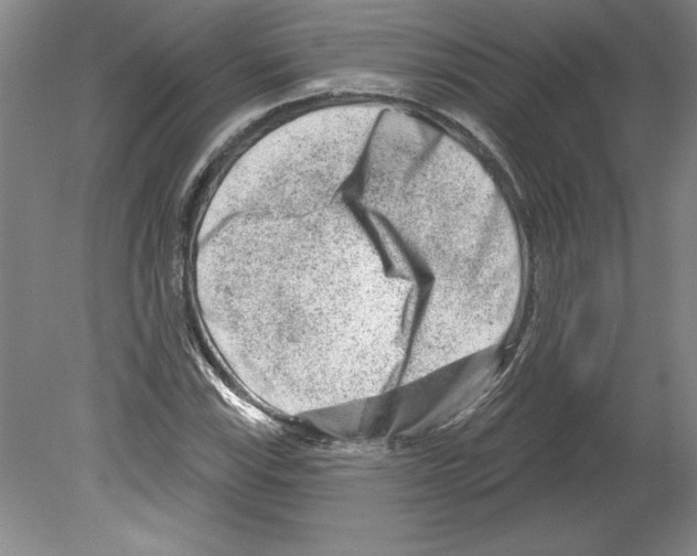 X0000079581115200612301359