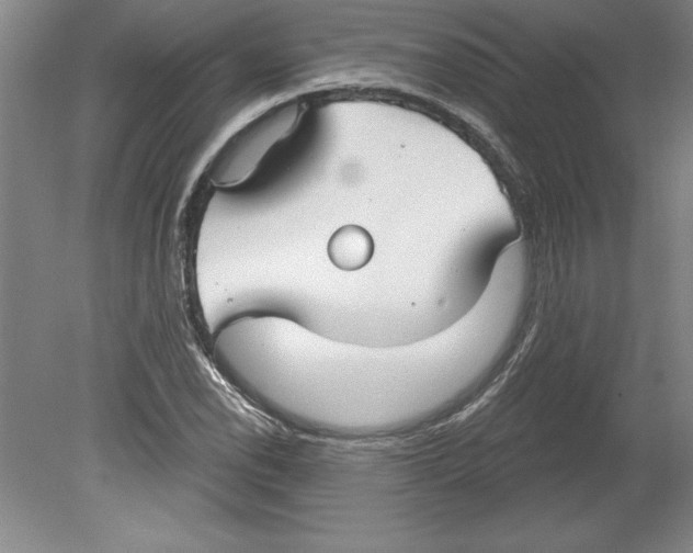 X0000079581118200612301359