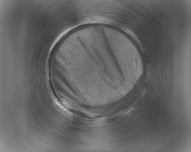 X0000079581120200612301359