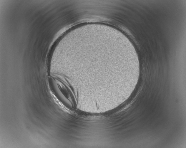 X0000079581122200612301400