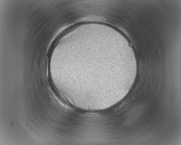 X0000079581123200612301400