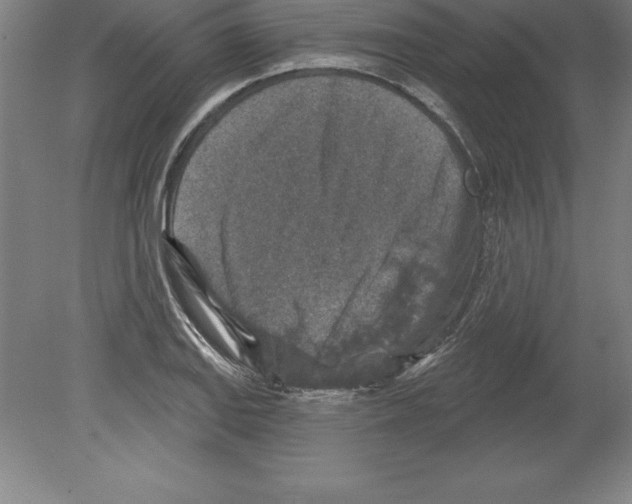 X0000079581127200612301400