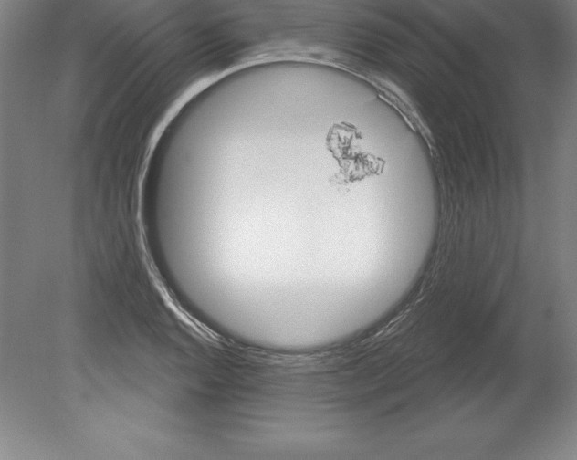 X0000079581128200612301400