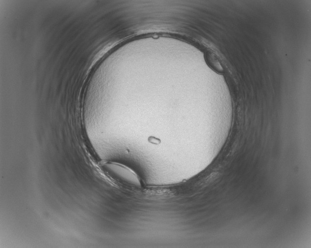 X0000079581129200612301400