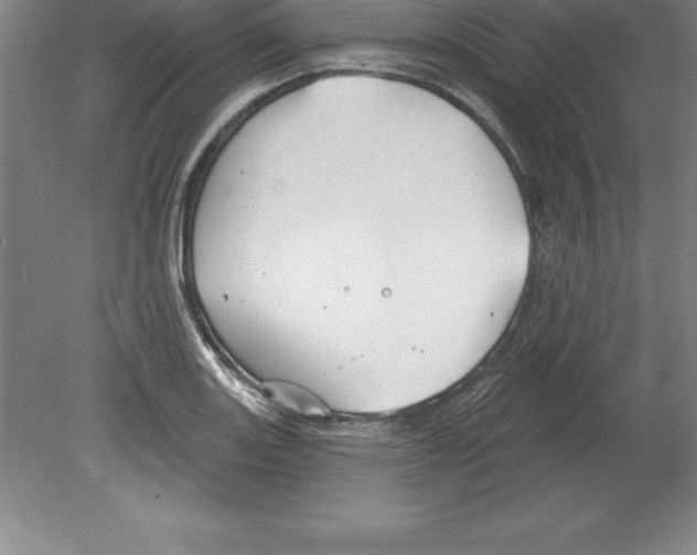 X0000079581131200612301400