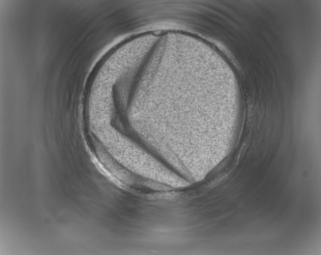 X0000079581134200612301400