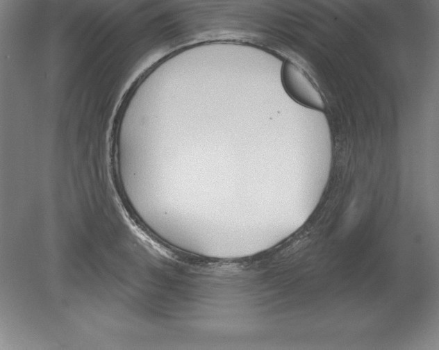 X0000079581135200612301400