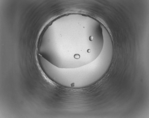 X0000079581136200612301400