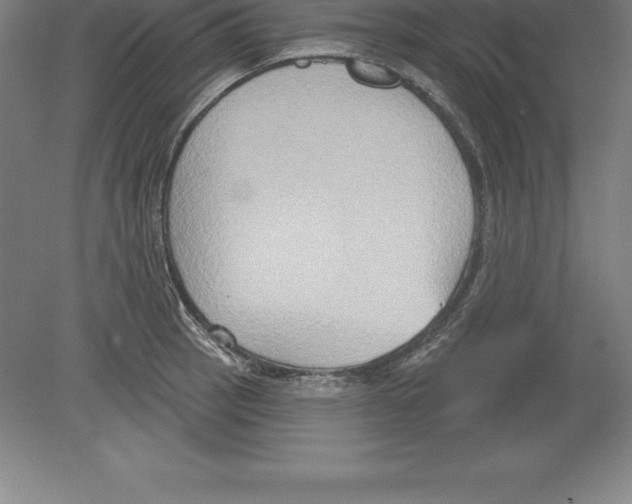 X0000079581137200612301400