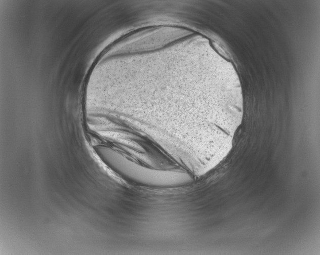 X0000079581142200612301400