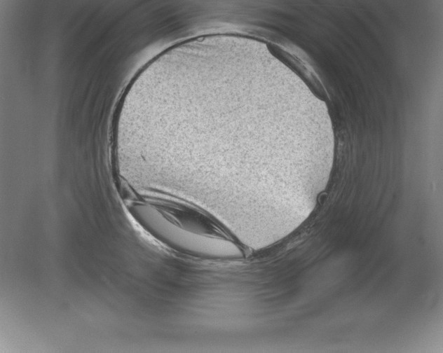 X0000079581143200612301400