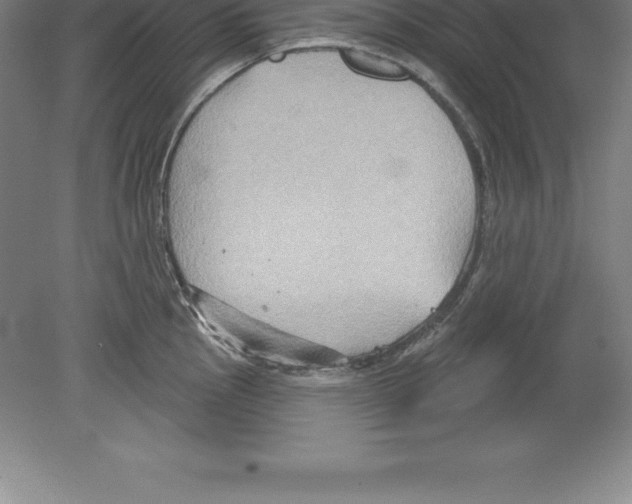 X0000079581145200612301400