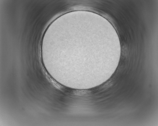 X0000079581150200612301400