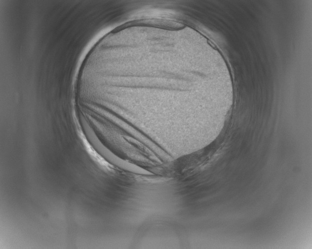 X0000079581152200612301400