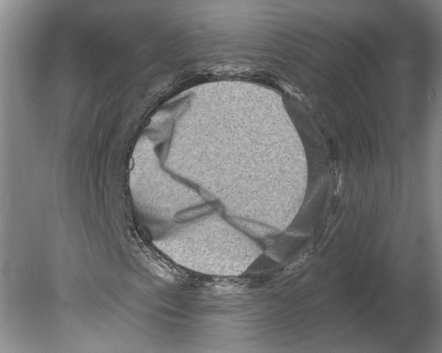 X0000079581153200612301359