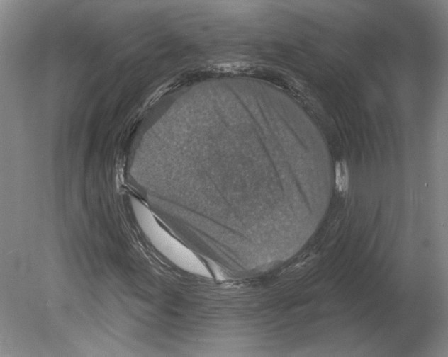 X0000079581155200612301359