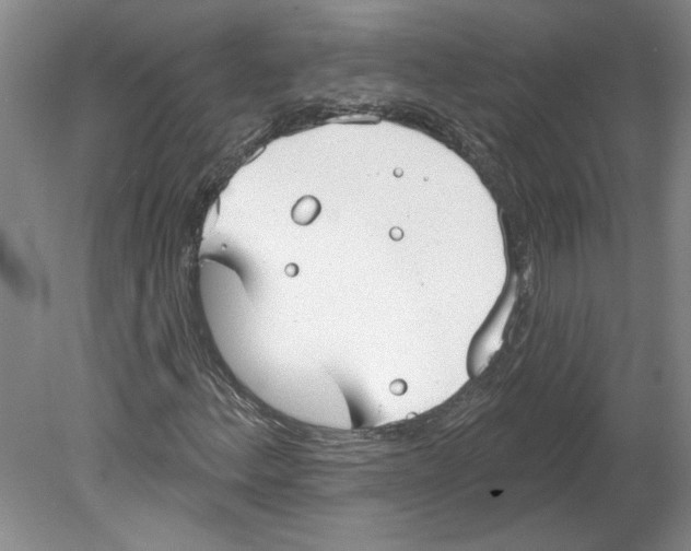 X0000079581156200612301359