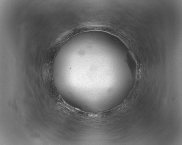 X0000079581157200612301359