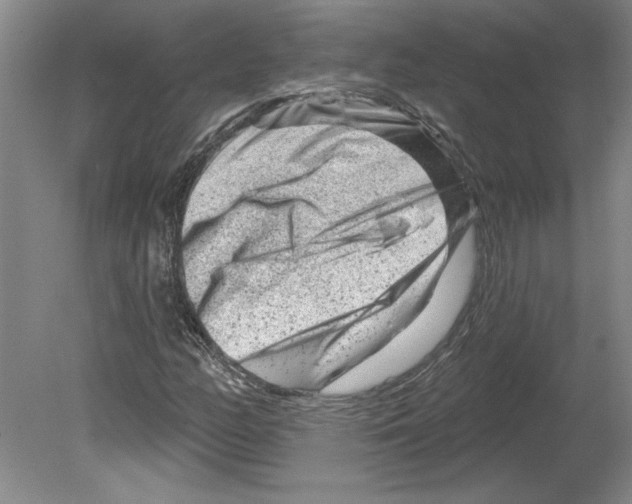 X0000079581158200612301359