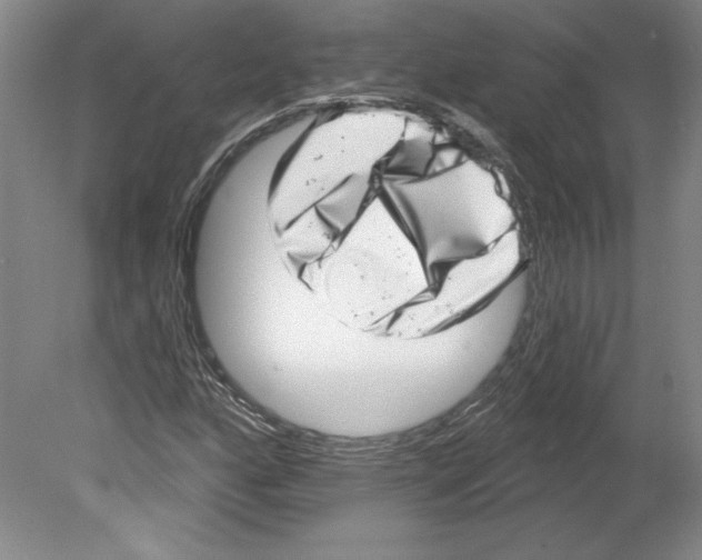 X0000079581160200612301359