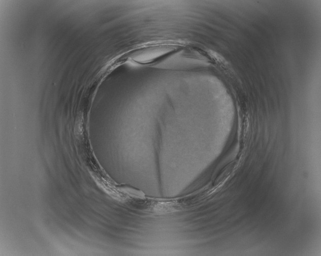 X0000079581161200612301359