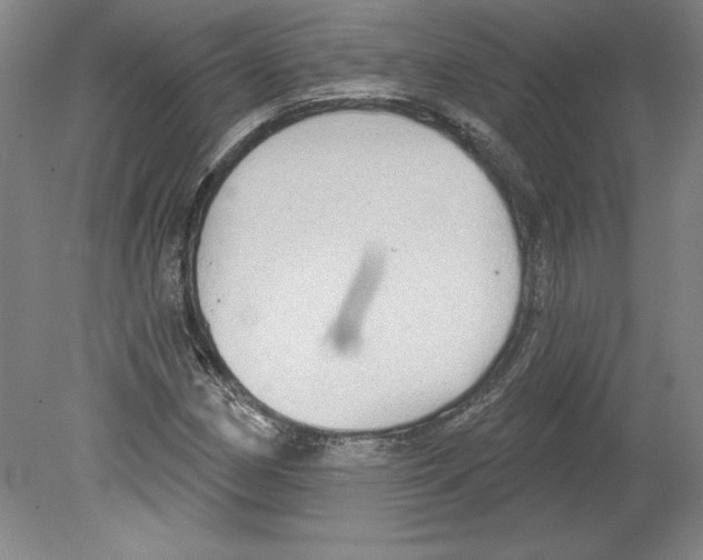 X0000079581162200612301359