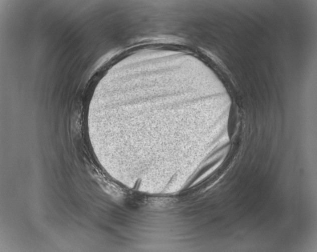 X0000079581163200612301359