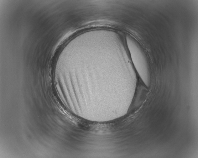 X0000079581164200612301359