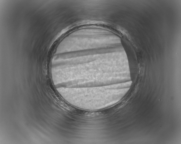 X0000079581165200612301359