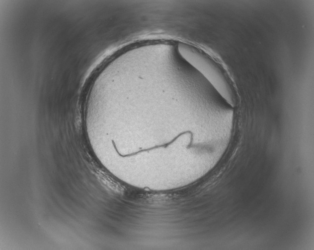 X0000079581167200612301359