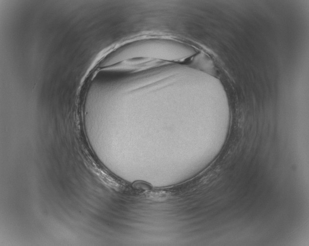 X0000079581168200612301359