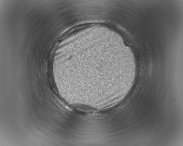 X0000079581169200612301359