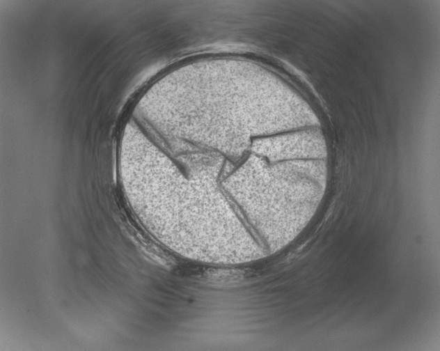 X0000079581171200612301359