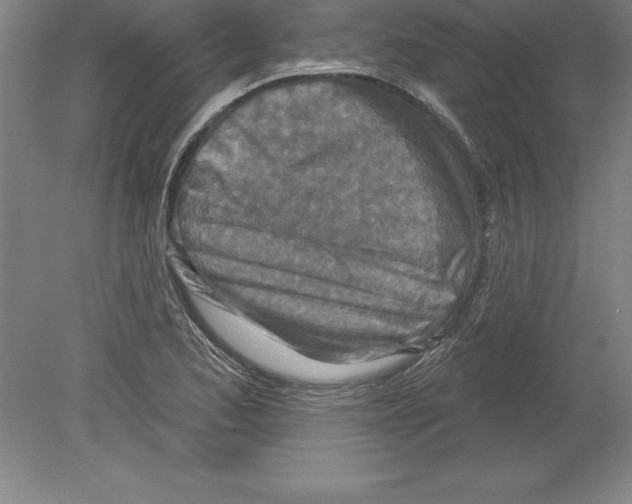 X0000079581173200612301359