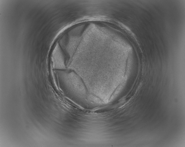 X0000079581174200612301359