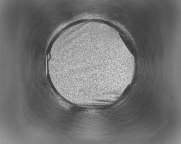 X0000079581175200612301359