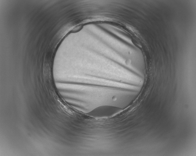 X0000079581177200612301359