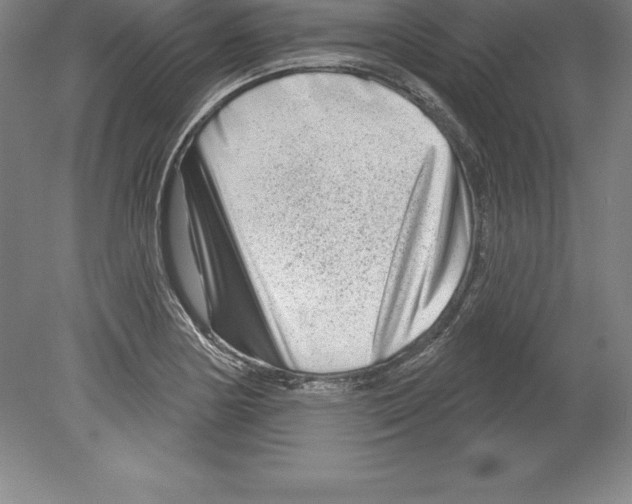 X0000079581178200612301359