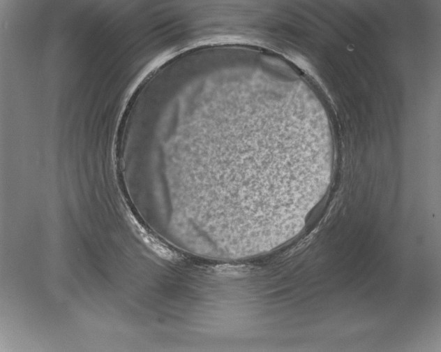 X0000079581181200612301359