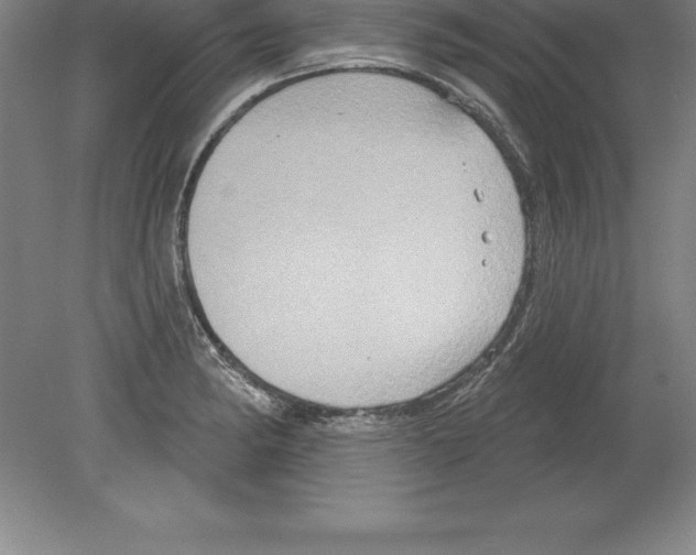 X0000079581182200612301359