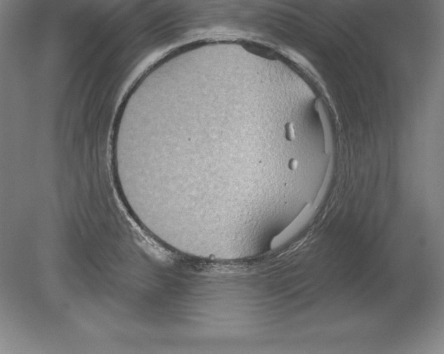 X0000079581183200612301359