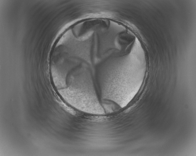 X0000079581184200612301359