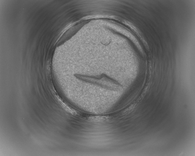 X0000079581185200612301359