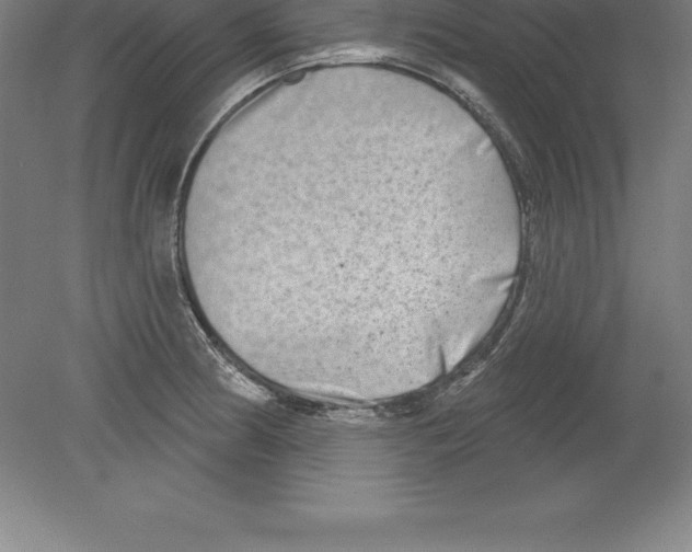 X0000079581186200612301359