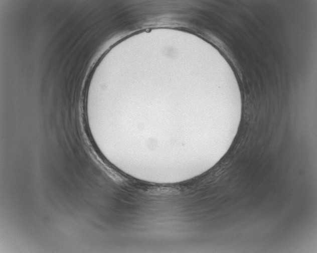 X0000079581187200612301359