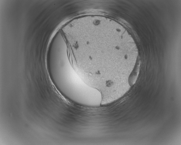 X0000079581188200612301359