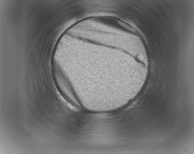 X0000079581189200612301359